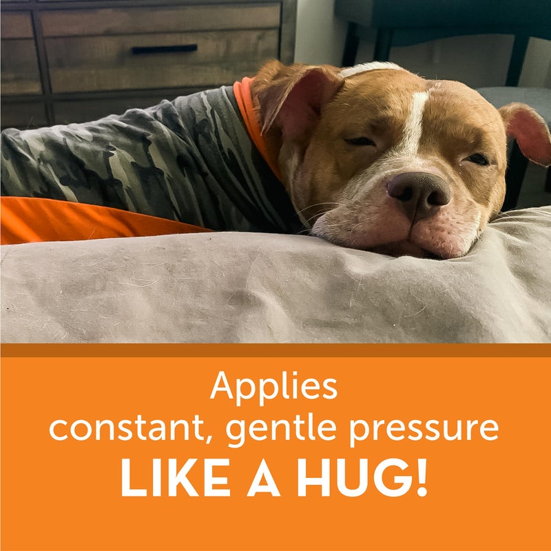 ThunderShirt for Dogs, Medium, Camo Polo - Dog Anxiety Vest - Image 2